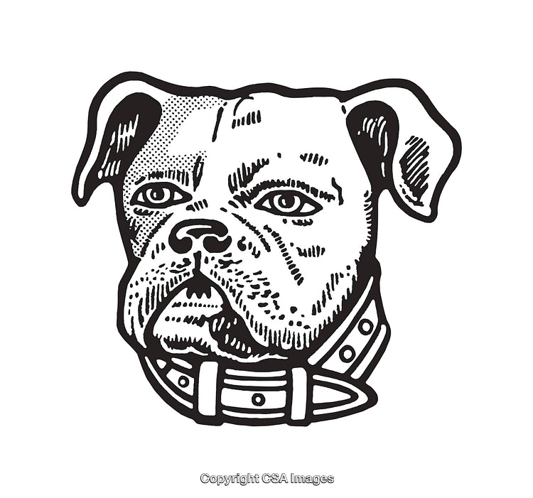 Detailed Black and White Line Art of a Bulldog Head Illustration
