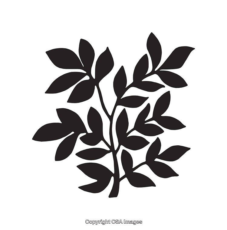 Abstract Black and White Botanical Silhouette Design with Leaves