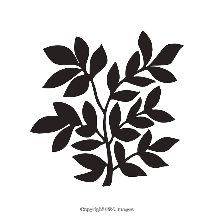Abstract Black and White Botanical Silhouette Design with Leaves