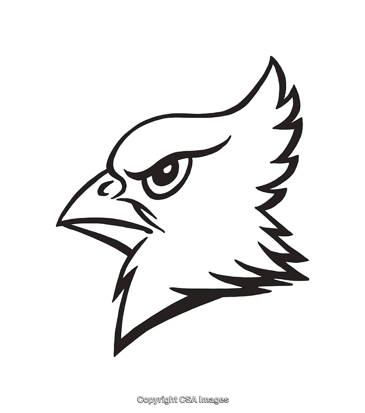 Black and White Line Art Illustration of a Predatory Bird Head