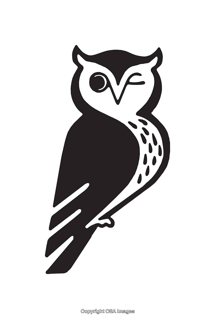 Stylized Black and White Owl Line Art Illustration on White Background