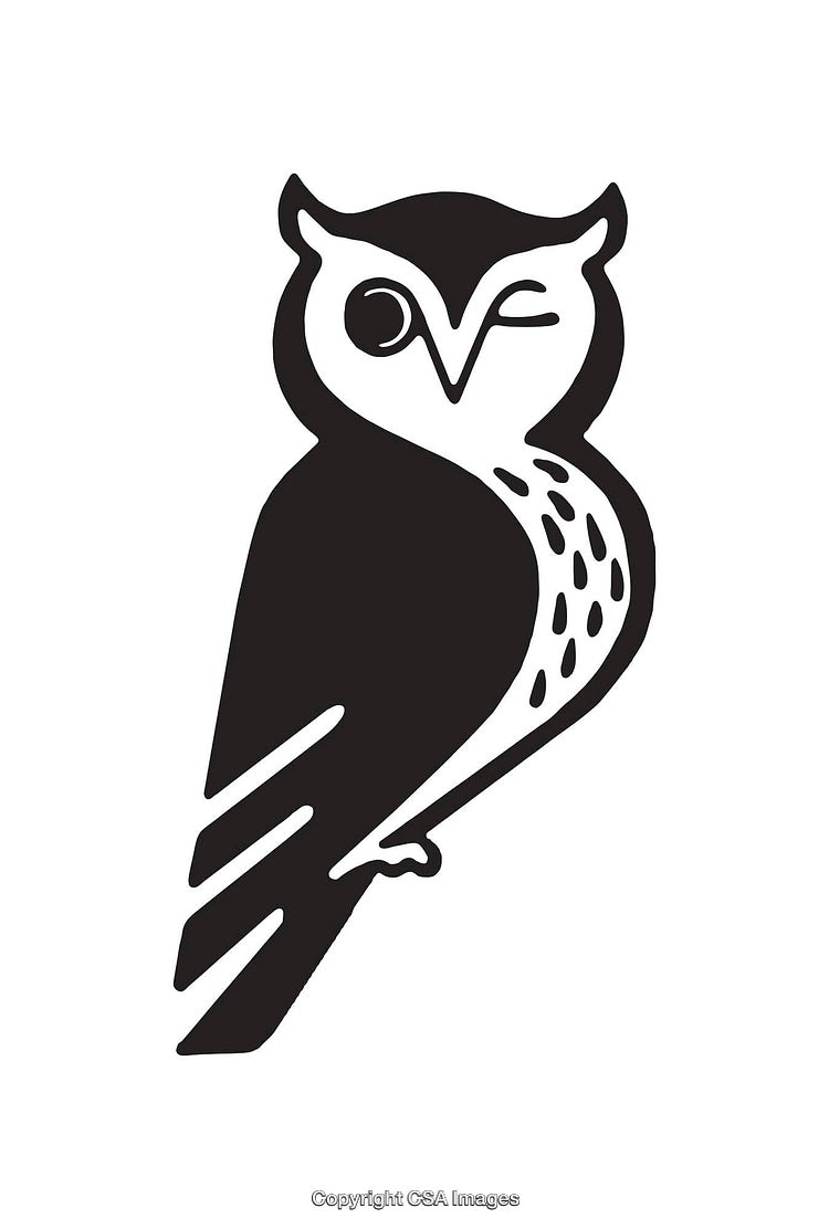 Stylized Black and White Owl Line Art Illustration on White Background