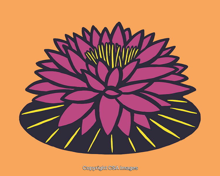 Bold Water Lily Design on Orange Background in Line Art Style