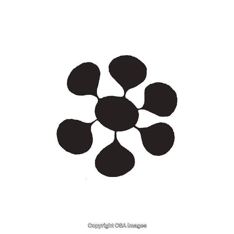 Abstract Black and White Flower Shape Dingbat Illustration