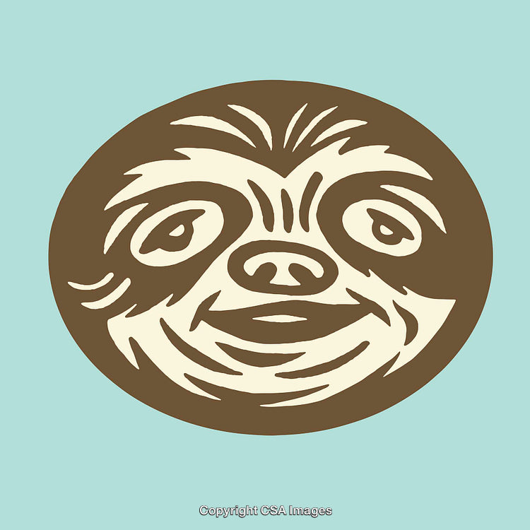 Illustrated Line Art of Cheerful Sloth Face on Light Background