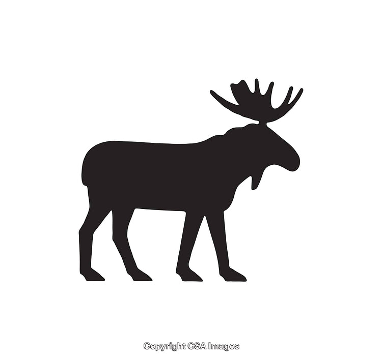 Silhouette of a Moose with Antlers on Solid White Background