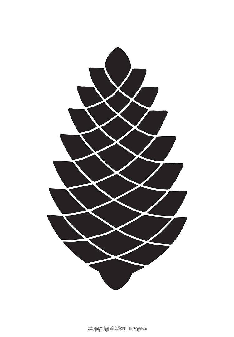 Black And White Line Art Illustration of a Stylized Pinecone Design