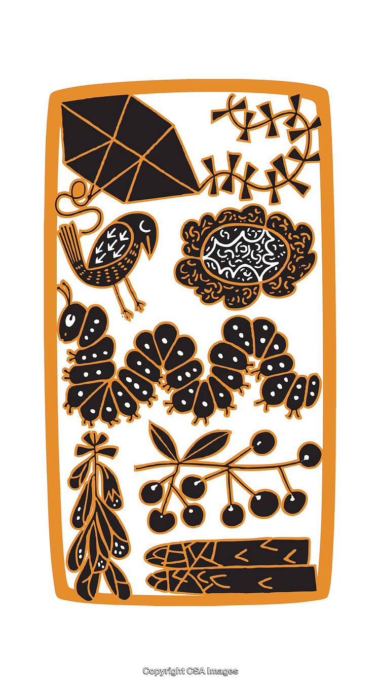 Colorful Illustration Featuring Birds, Flora, and Geometric Patterns in Orange and Black