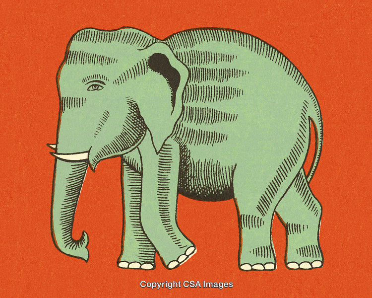 Vintage Illustration of an Elephant on Bold Red Background