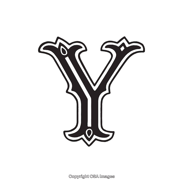 Elegant Black Decorative Letter Y on White Background