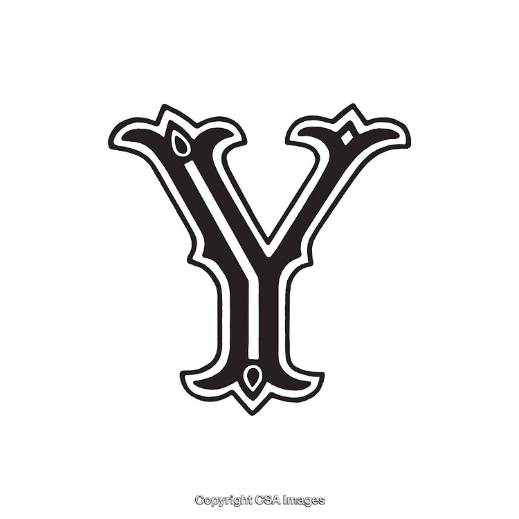 Elegant Black Decorative Letter Y on White Background