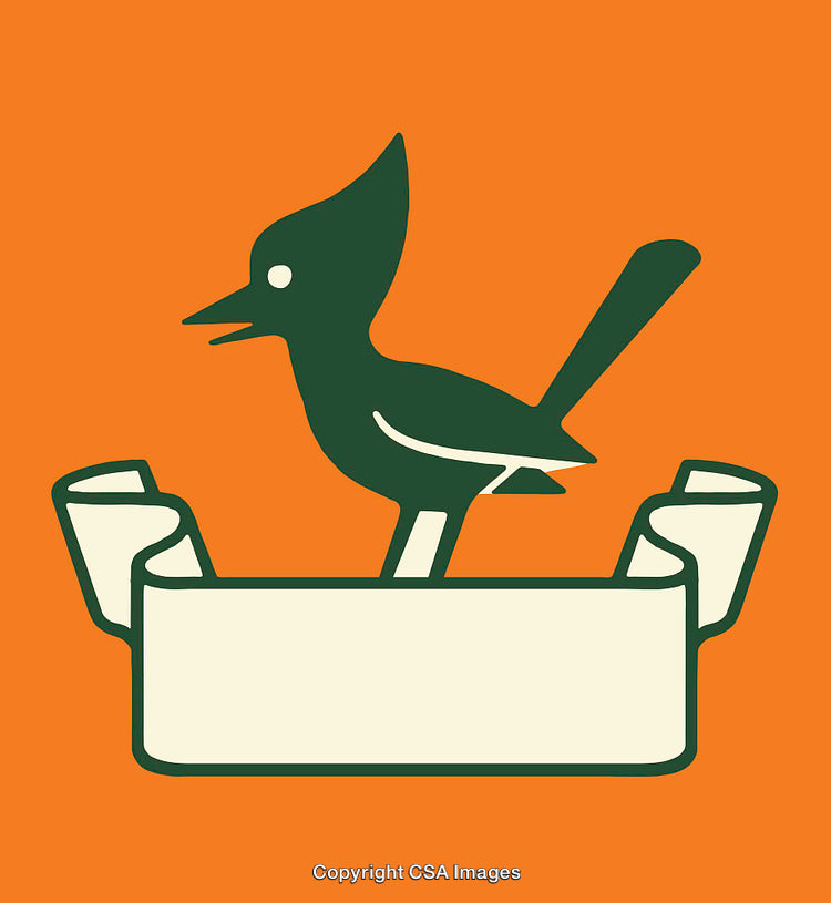 Retro Styled Bird Illustration with Banner on Orange Background