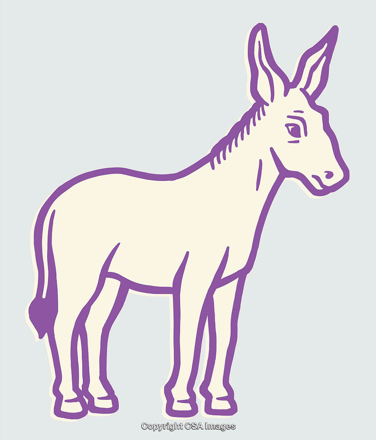 Purple Line Art Illustration of Donkey on Light Background