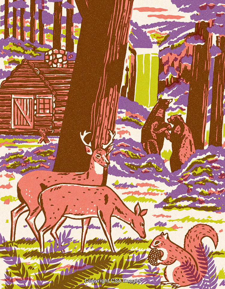Colorful Forest Scene With Deer Squirrel Bears and Waterfall Illustration