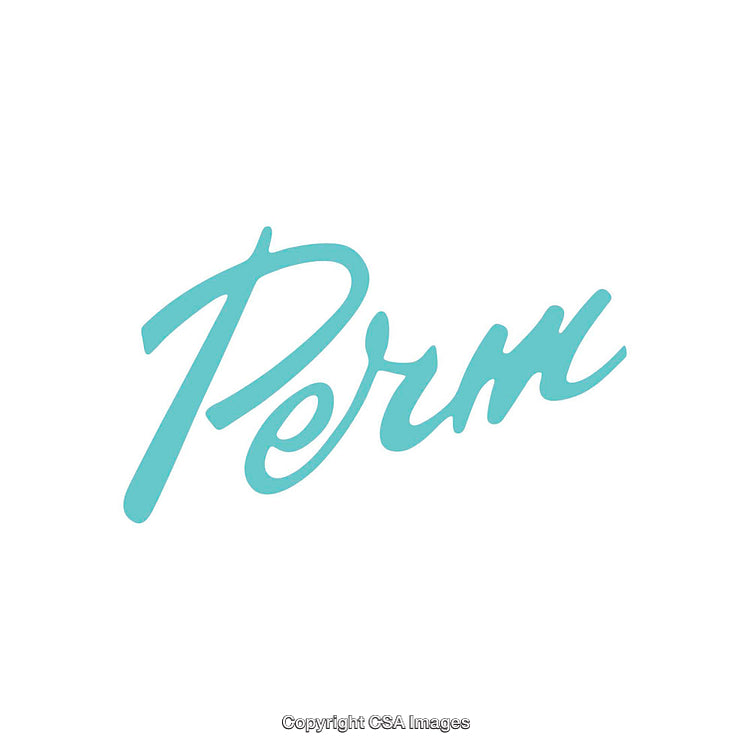 Stylish Script Font Depicting the Word Perm in Turquoise Color