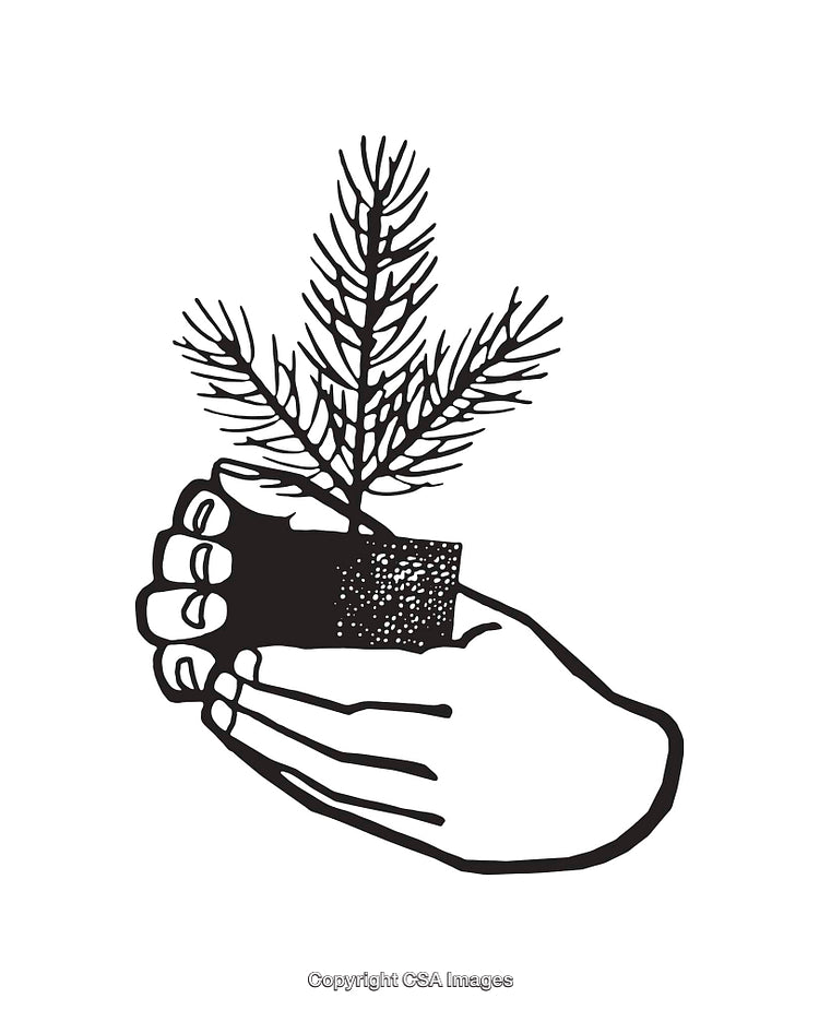 Black and White Illustration of Hands Holding a Seedling Drawing