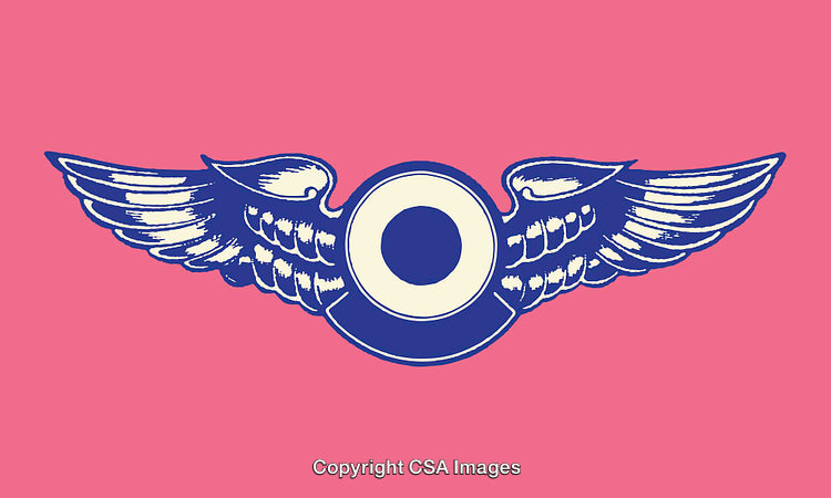 Colorful Winged Circle Icon on a Bold Pink Background