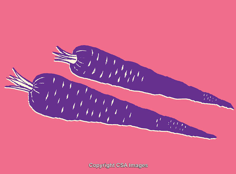 Purple Carrot Illustrations on a Pop Art Pink Background