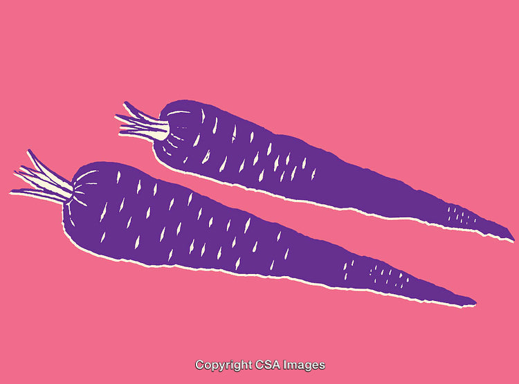 Purple Carrot Illustrations on a Pop Art Pink Background