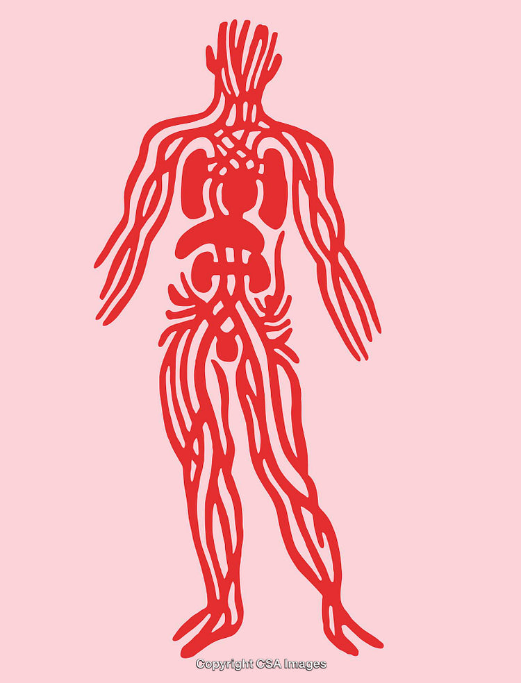 Abstract Graphic Depicting Anatomy Red Lines on Soft Pink Background