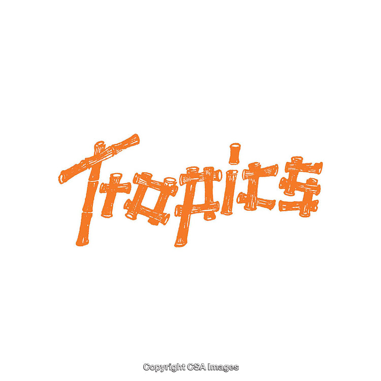 Orange Bamboo Typeface With Unique Tropical Aesthetic and Elegant Design