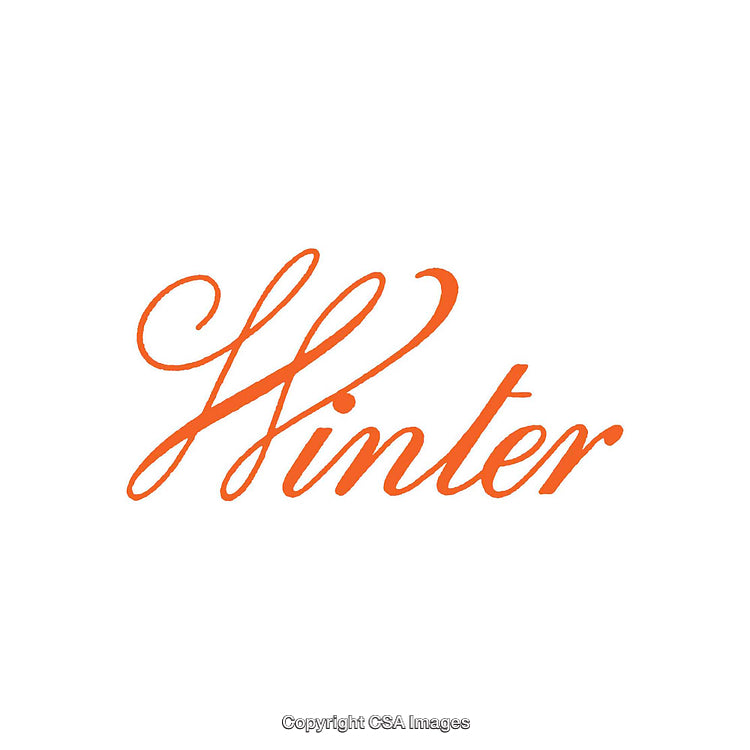Elegant Orange Calligraphy Displaying the Word 'Winter' on White Background