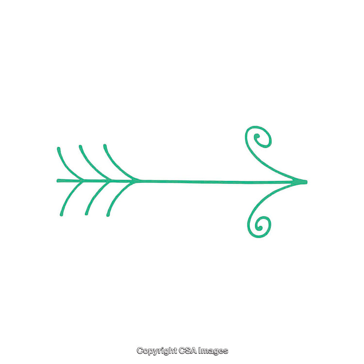 Decorative Green Arrow with Artistic Curves and Symmetric Feather Design