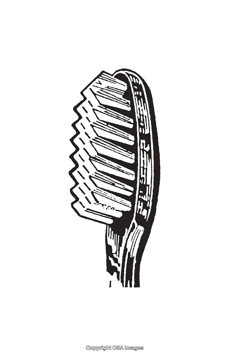 Vintage Black and White Illustration of a Toothbrush Head