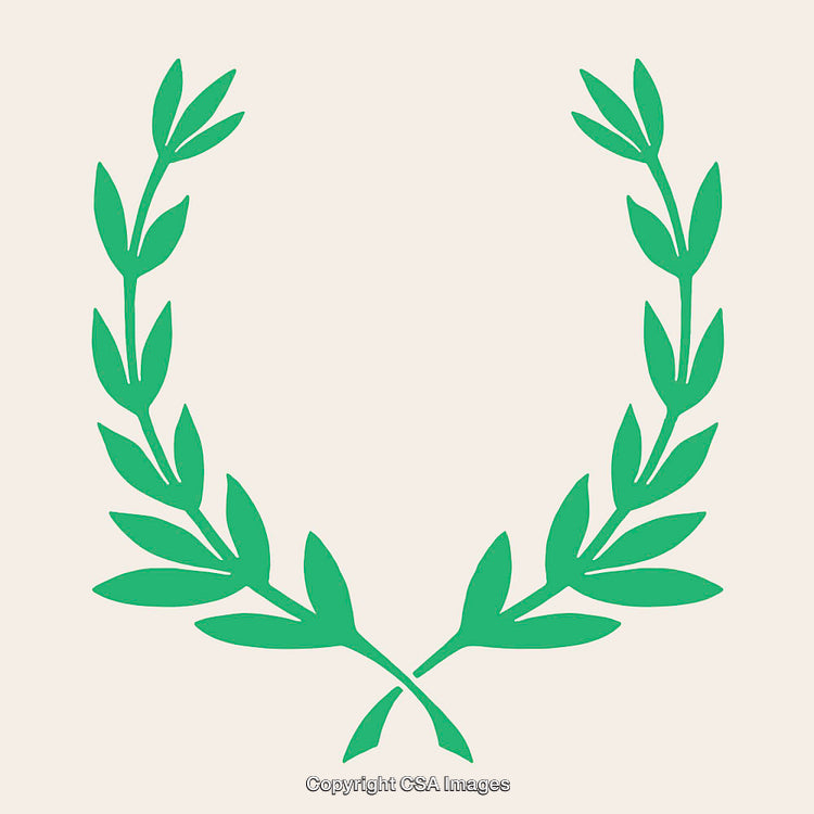 Green Laurel Wreath Illustration on a Beige Background