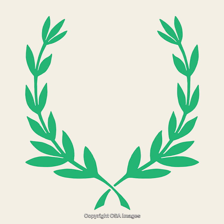 Green Laurel Wreath Illustration on a Beige Background