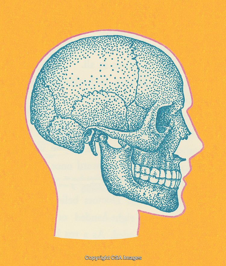 Artistic Outline of a Human Skull in Profile on Vibrant Background