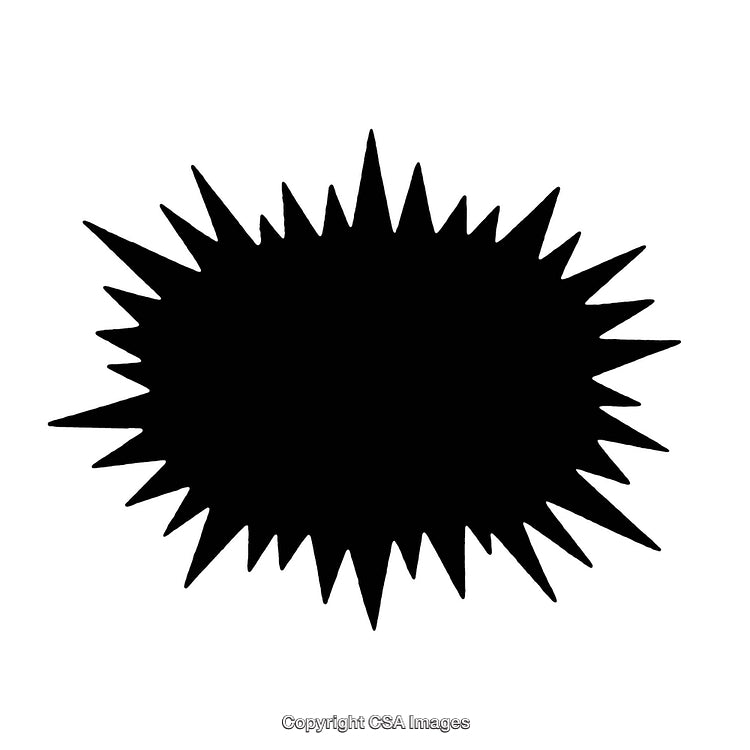 Black and White Starburst Design with Irregular Edges