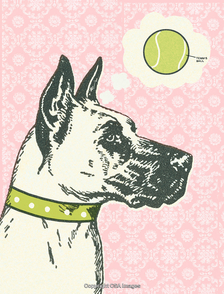 Cute Dog Illustration With Dream Of A Tennis Ball On Pink Background