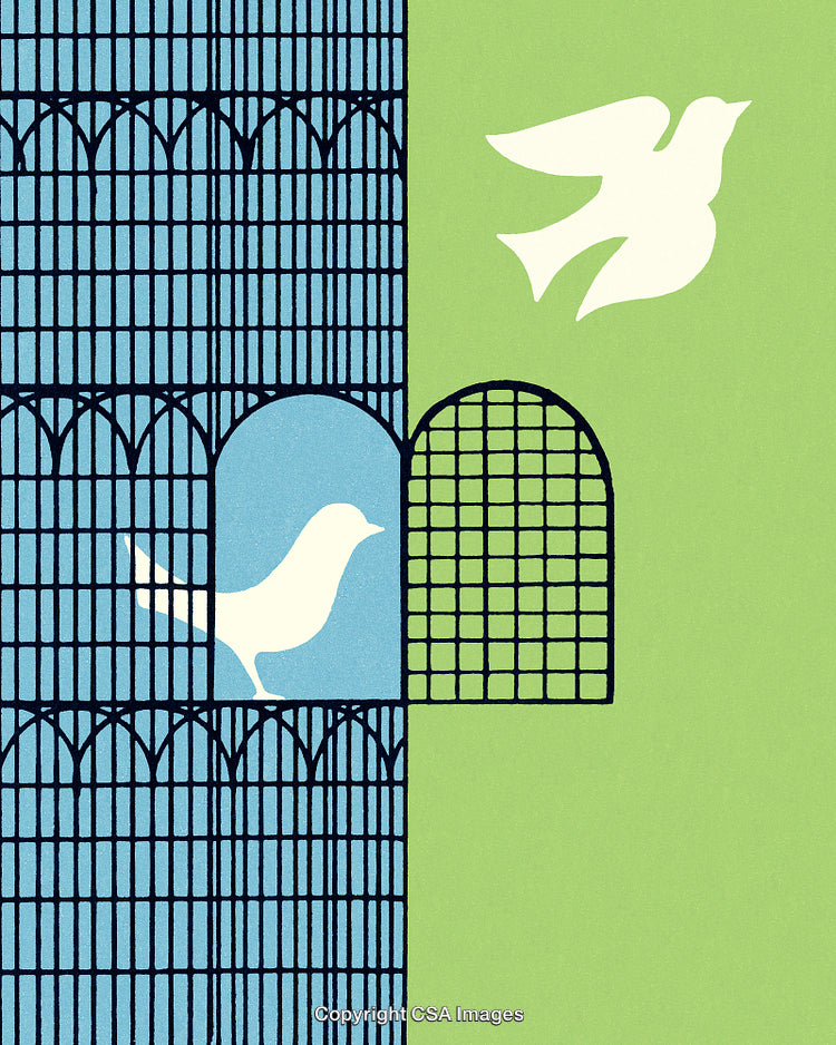 Silhouetted Bird Escaping Cage to Freedom on Vibrant Background