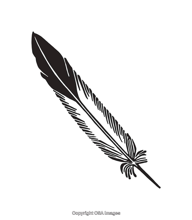 Elegant Black and White Feather Illustration in Stylized Line Art Design