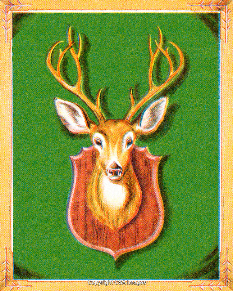 Illustration of a Deer Trophy Mount on a Green Background With Decorative Border