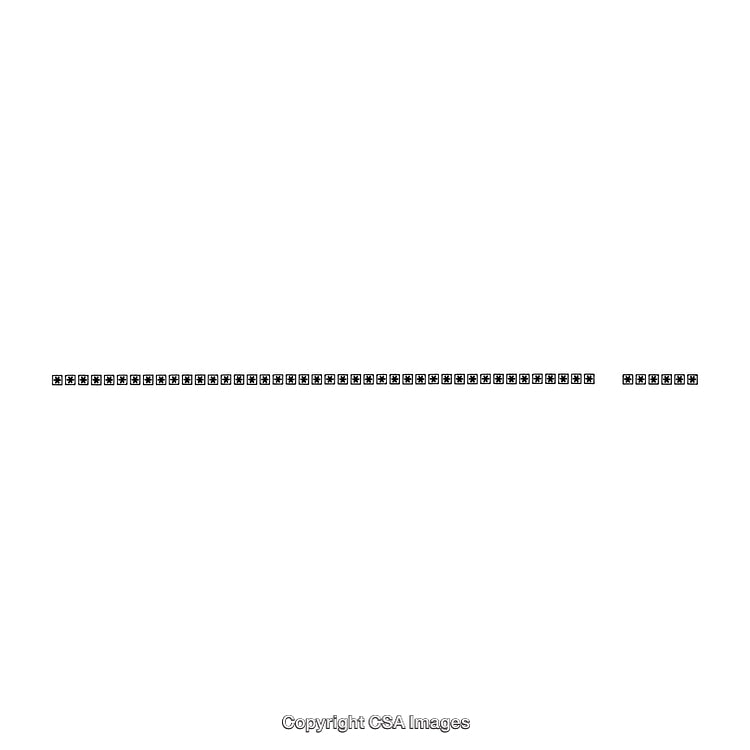 Horizontal Black and White Decorative Borders Isolated on White Background