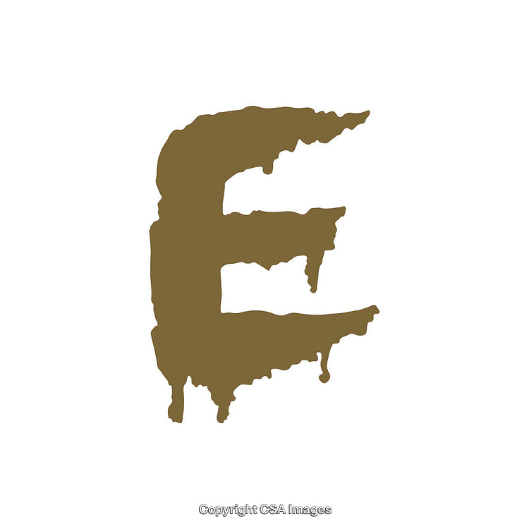 Stylized Brushstroke Letter E in a Rustic Artistic Design