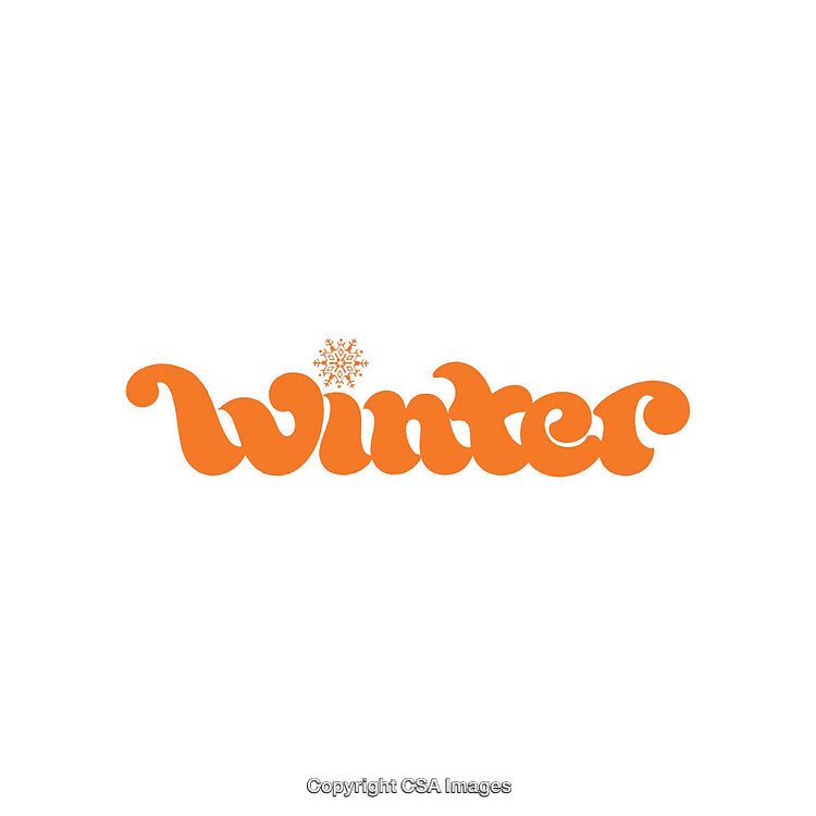 Modern Orange Typography Design Featuring the Word Winter and Snowflake Accent