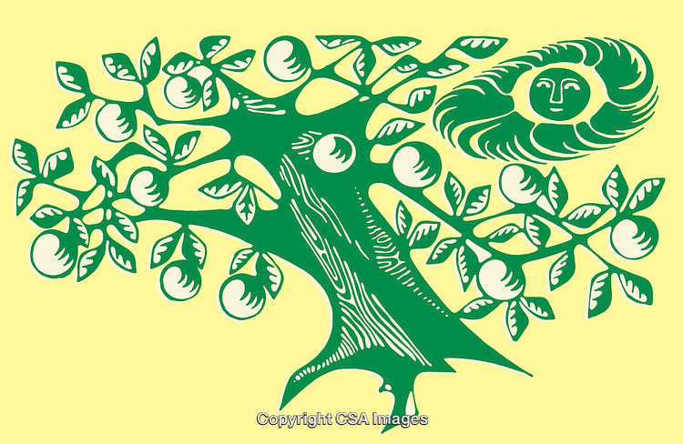 Green Line Art Illustration of a Tree With Fruit and a Sun Face