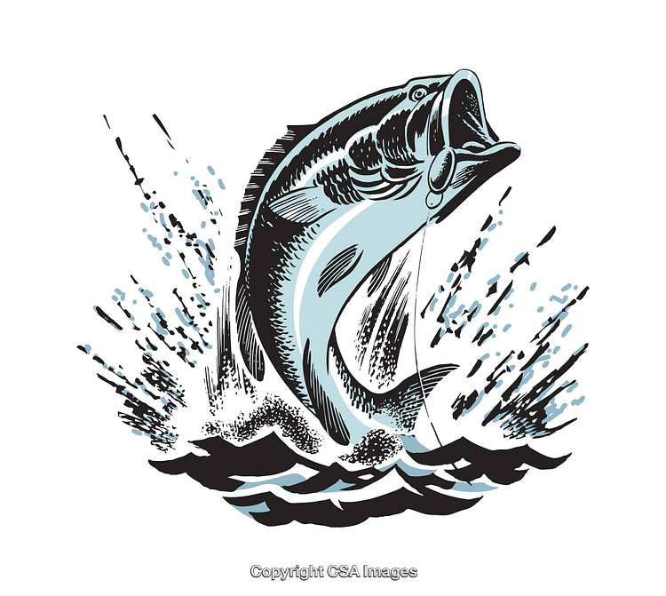 Jumping Fish Illustration With Splashing Water and Dynamic Movement