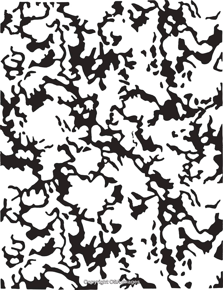 Abstract Black and White Pattern with Organic Shapes and Lines