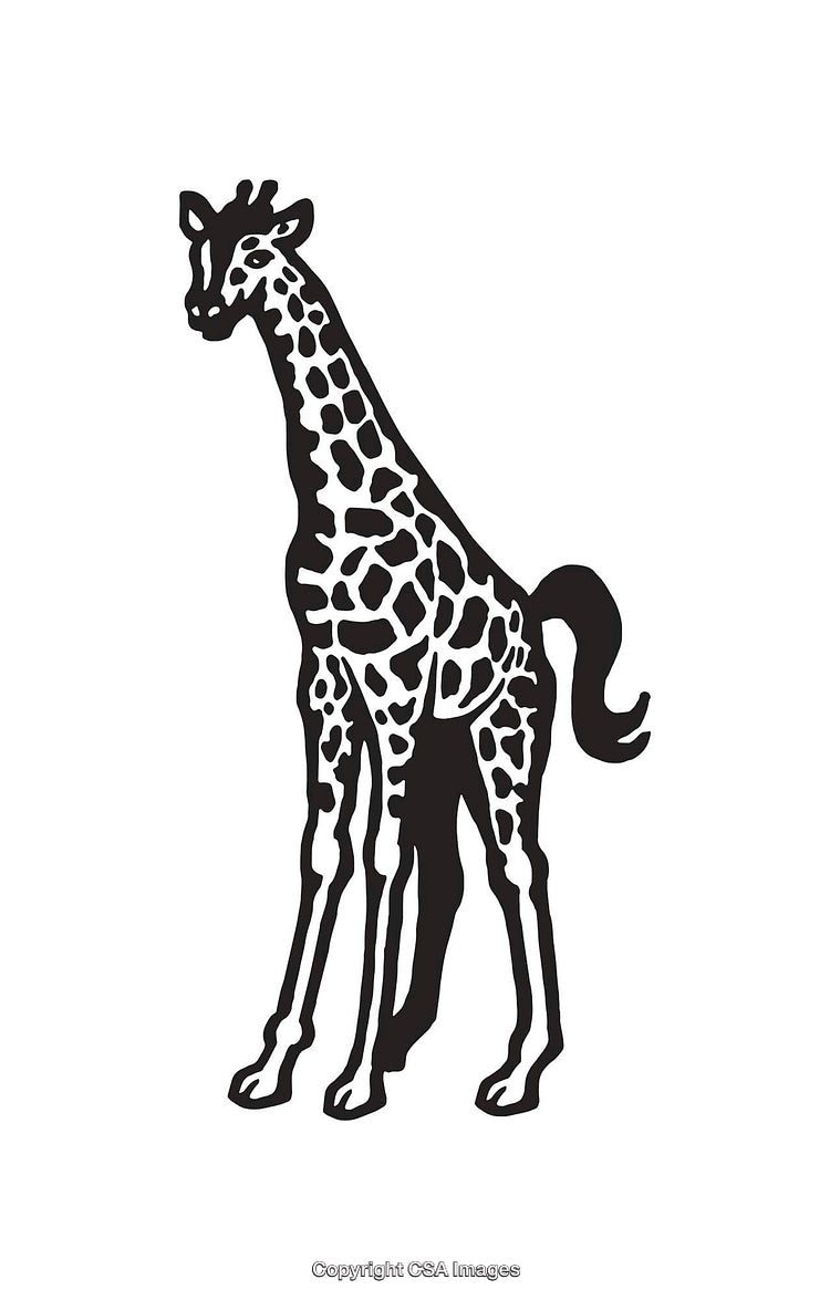 Black and White Line Art Illustration of a Giraffe
