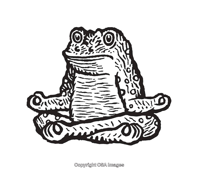 Black and White Line Art of a Meditating Frog Illustration