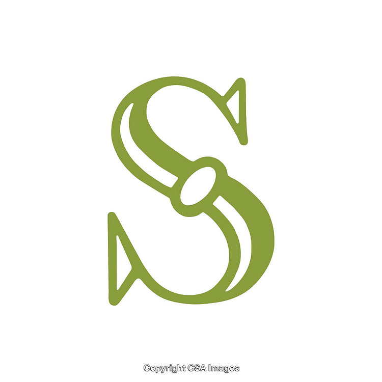 Stylized Green Letter S Design with Decorative Elements
