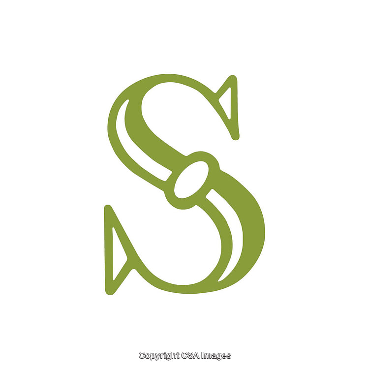 Stylized Green Letter S Design with Decorative Elements