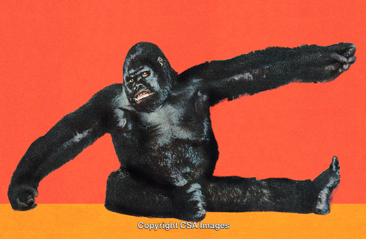 Creative Portrait of Gorilla Holding Artistic Pose on Bold Color Background