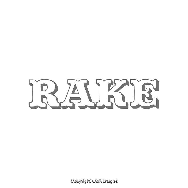 Bold Typography of the Word 'Rake' in Stylish Black and White Design