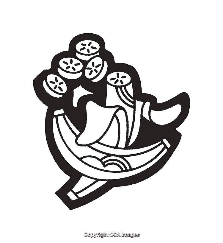 Black and White Abstract Line Art Depicting Geometric Organic Shapes
