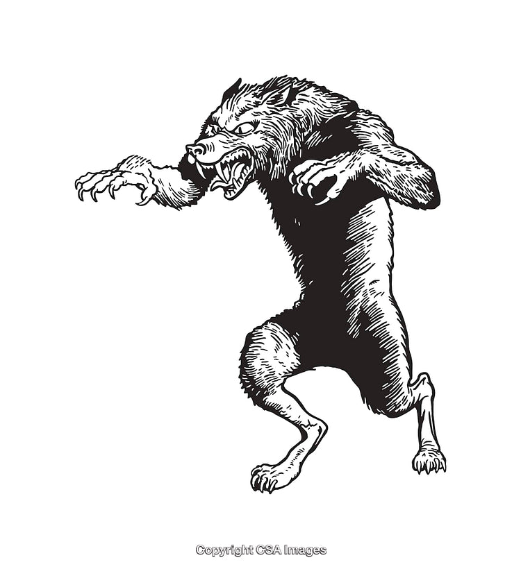 Detailed Black-and-White Line Art Illustration of a Ferocious Werewolf